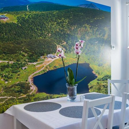 Apartament Ski Sudety Kowary Bagian luar foto